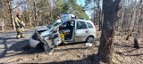 Bydgoszcz. Samochód osobowy uderzył w drzewo, strażacy uwalniali kierowcę [zdjęcia]