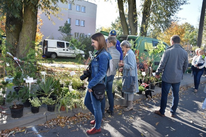 Targi Rolnicza Jesień we Wrześni przyciągnęły tłumy.