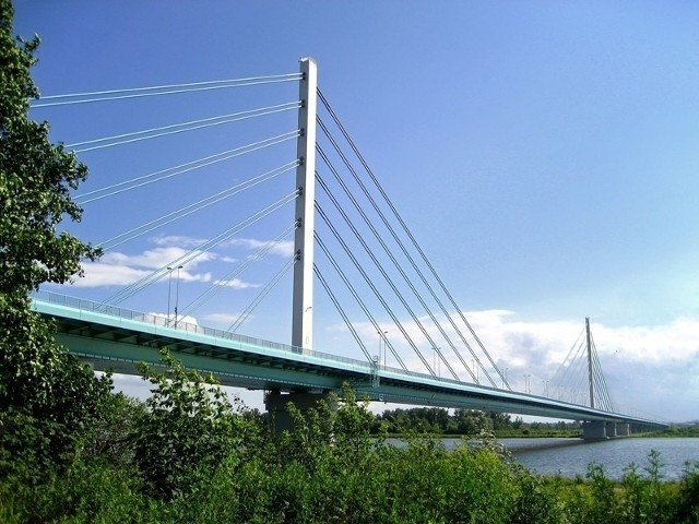 Most Solidarności w Płocku jest jednym z najdłuższych mostów w Polsce. Rozpiętość najdłuższego przęsła wynosi 357m. Całkowita długość to 1712 metrów. Most przebiega na rzeką Wisłą oraz stanowi ciągu dwóch dróg krajowych - drogi krajowej nr 60 i drogi krajowej nr 62. W miejscu przecięcia przez most, Wisła liczy 500 metrów szerokości, a w momencie podwyższonej wody aż 1100 metrów. Inwestycja kosztowała 190 mln. złotych. Oddany do użytku w 2007 roku.