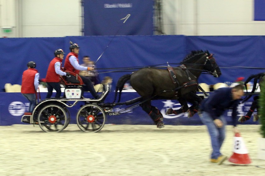 Cavaliada 2017 w Lublinie ruszyła z kopyta (ZDJĘCIA)