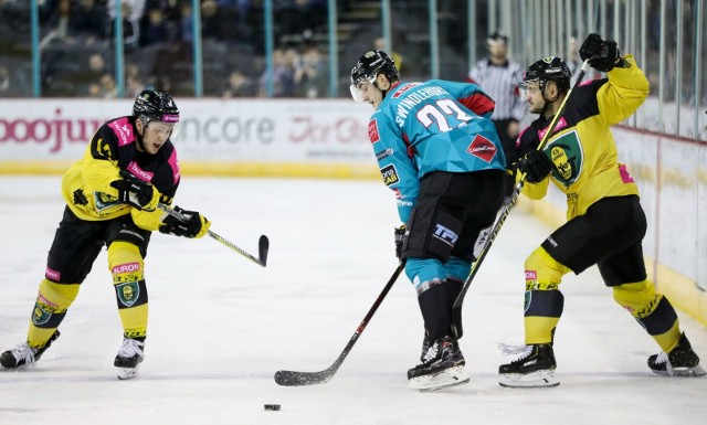 Belfast Giants - Tauron KH GKS Katowice