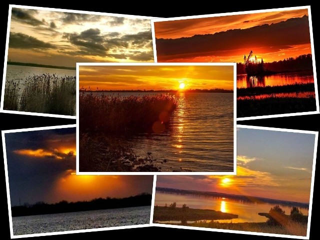 Jezioro Tarnobrzeskie to wyjątkowe miejsce. Promienie odbijające się w wodzie tworzą niesamowicie malownicze obrazy. Śmiało można powiedzieć, że Jezioro Tarnobrzeskie to Lazurowe Wybrzeże Podkarpacia. A jak wyglądają zachody słońca i noc nad Jeziorem Tarnobrzeskim? Zapraszamy do galerii, gdzie zebraliśmy najpiękniejsze zdjęcia autorstwa użytkowników Instagrama. >>>>ZOBACZ WIĘCEJ NA KOLEJNYCH SLAJDACH