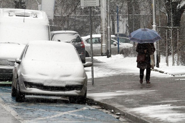 W najbliższych dniach temperatury będą nieco przekraczać normę termiczną, a prognozy sezonowe na pierwszą połowę roku (trzeba je zawsze traktować z dystansem) sugerują, że będzie cieplejsza od normy.