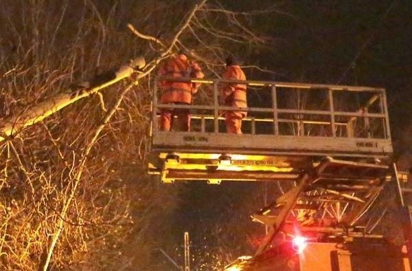 W regionie zapowiadany jest silny wiatr do 100 km/h. Strażacy będą mieli pełne ręce roboty.