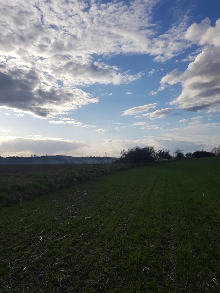 Paliło się w Raciniewie. Trzy zastępy gasiły ogień. Potem...