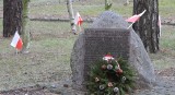 Cmentarz wojenny w Małkini Górnej w przeddzień Święta Niepodległości został ozdobiony biało-czerwonymi flagami. Zdjęcia