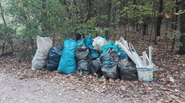 Dzikie wysypisko śmieci było zlokalizowane w gminie Pniewy.