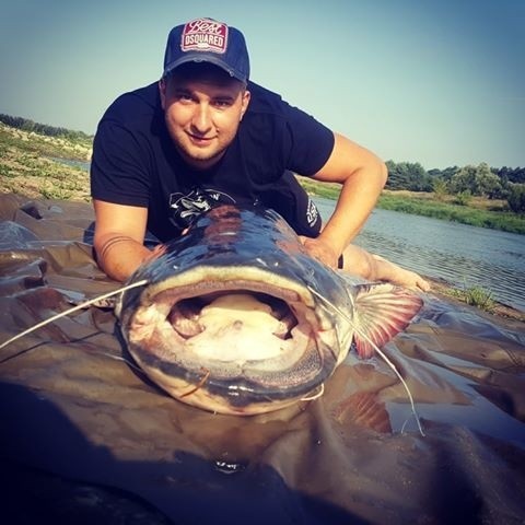 Kilka dni temu pisaliśmy o sumach gigantach wyłowionych z...