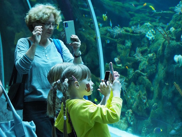 Pierwsi zwiedzający zobaczyli w piątek (29 kwietnia) Orientarium w łódzkim zoo. Jak udała się warta 262 mln zł inwestycja? Są pierwsze oceny!CZYTAJ DALEJ>>>.