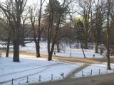 Pogoda w Łodzi: Słonecznie, lecz chłodno