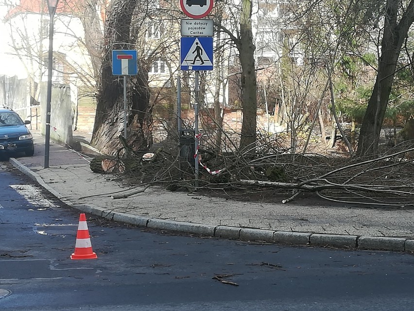 Silny wiatr w regionie. Utrudnienia na drogach i brak prądu [RAPORT]