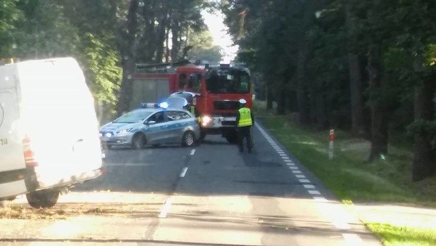 Śmiertelny wypadek w Rabędach, na drodze wojewódzkiej