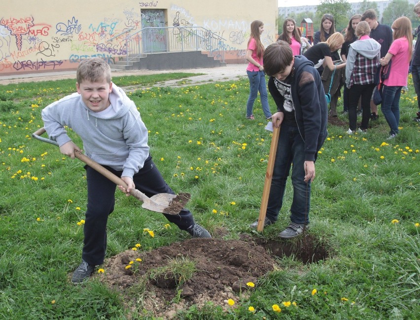 Sadzenie drzewek na radomskim Ustroniu