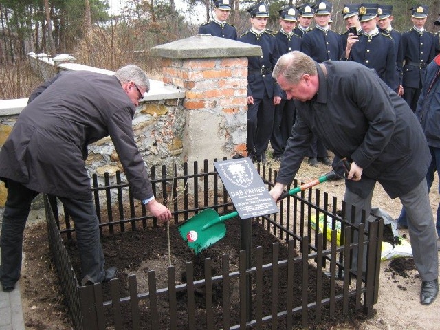 Na cmentarzu w Odrzywole rośnie Dąb Katyński. Drzewko zasadzili wicemarszałek Senatu Stanisław Karczewski (z lewej) i starosta przysuski Marian Niemirski.
