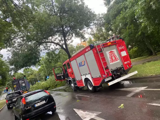 Strażacy działali przy usuwaniu powalonego drzewa na ulicy Jesionowej w Kielcach. Zobacz więcej w dalszej części galerii >>>