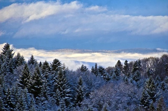 Zima w BieszczadachW sobotę i niedzielę w Bieszczadach spadło średnio około 15 cm śniegu.