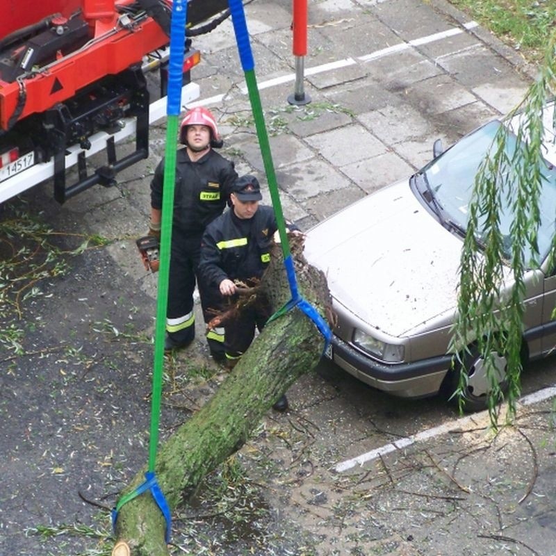 Powalone drzewa, podtopione domy - to efekt nawalnicy, która...