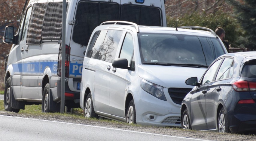 Niwka. Śledczy szukają tropu zaginionej przed 19 laty Joanny