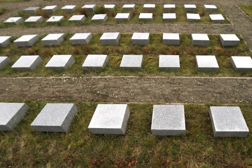 Zapadające się groby i brud. NIK krytycznie o szczecińskich cmentarzach