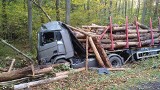 Wypadek koło Połczyna-Zdroju. Ciężarówka wioząca drewno wypadła z drogi [ZDJĘCIA]