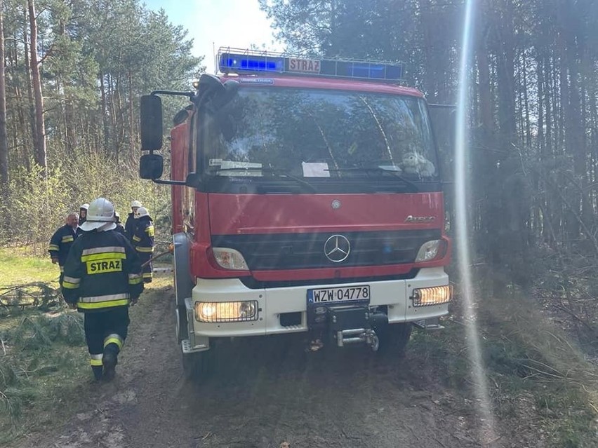 We wtorek strażacy gasili pożar lasu w gminie Kazanów.