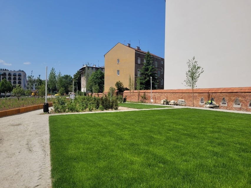 Kraków. Apel o zasadzenie drzew w nowym parku przy ulicy Karmelickiej