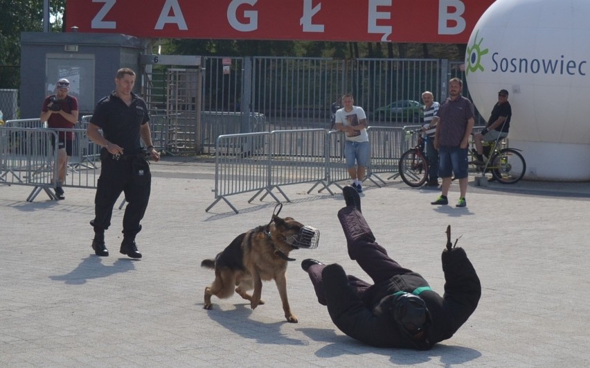 Przed wejściem na sosnowiecki Stadion Ludowy odbywa się w...