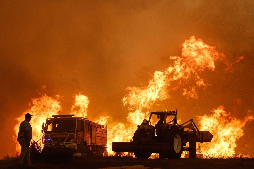 Pożary lasów i łąk w Portugalii. Ewakuowano ponad 2 tys. osób