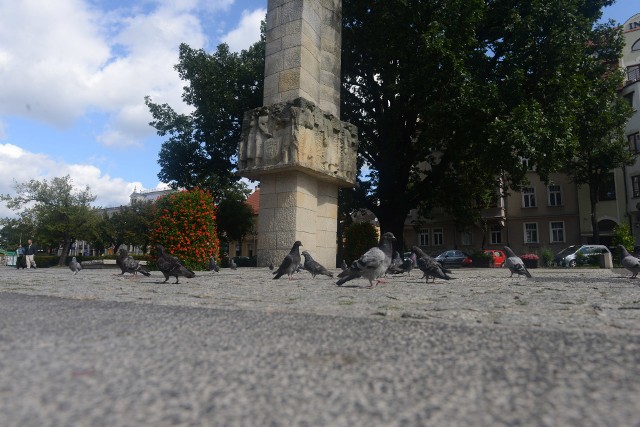 Pomnik Bohaterów w  Zielonej Górze został pierwotnie wykonany wedle projektu poznańskiej artystki Anny Krzymańskiej.