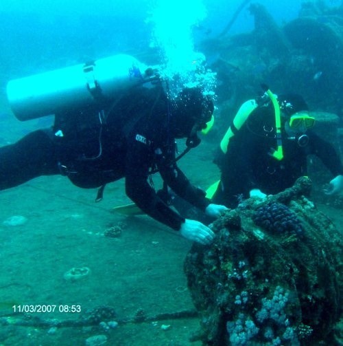 W Egipcie płetwonurkowie Barakudy nurkowali do wraku angielskiego transportowca, zatopionego w czasach II wojny światowej. (SS Thistlegorm)