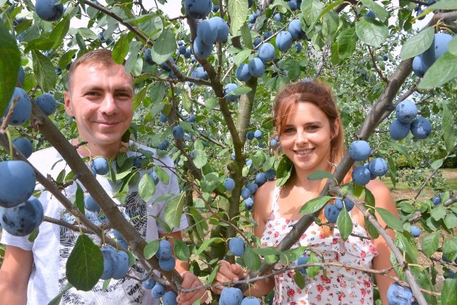 Rafał Cecot i Izabela Kaniszewska, starostowie Święta Śliwki zapraszają w weekend do Szydłowa na zabawę i śliwkę pod każdą postacią.