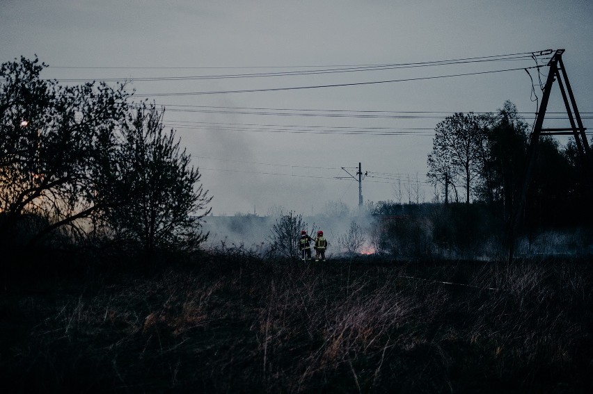 Pożar suchych traw przy ul. Droniowickiej w Lublińcu...