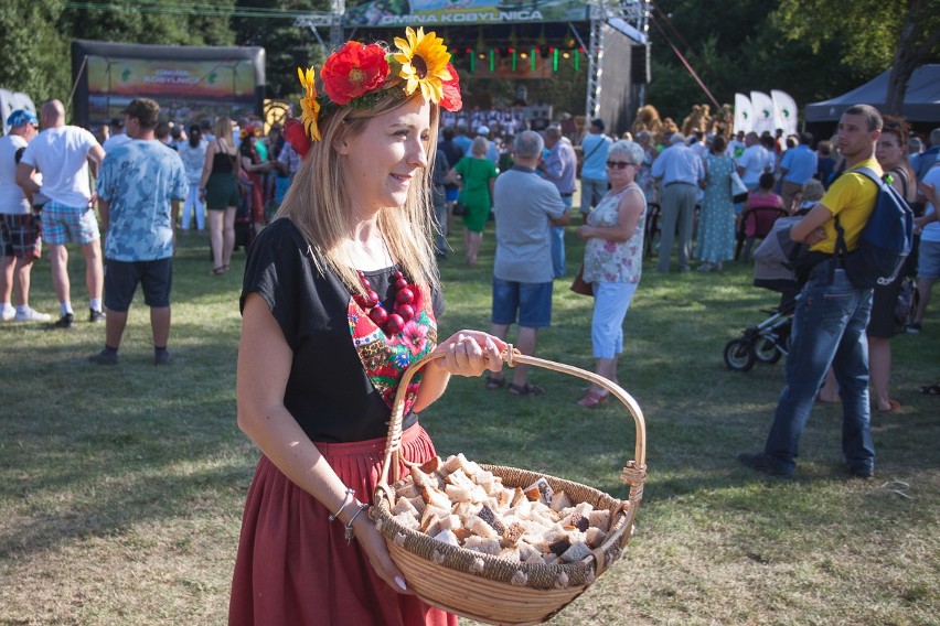 W miniony weekend, w Kobylnicy odbyło się Gminne Święto...