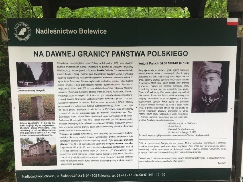 Tablica na leśnym parkingu pomiędzy Silną a Pszczewem.