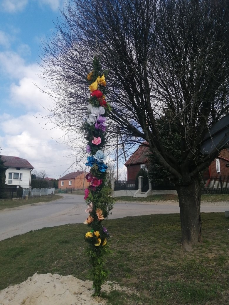 Wielkanocny zwyczaj w Sośniczanach. Przy drodze oraz w centrum wsi stanęły piękne i oryginalne palmy. Zobaczcie zdjęcia