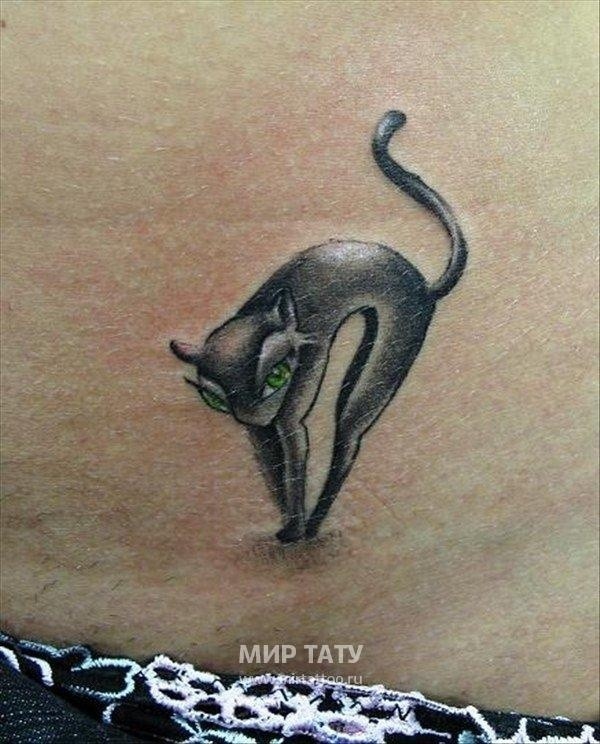 Kocie tatuaże: Zobacz najciekawsze tatuaże przedstawiające koty [DZIEŃ KOTA, ZDJĘCIA] 