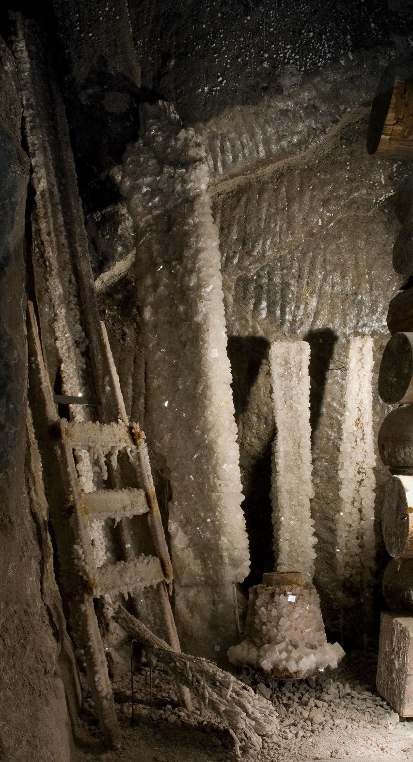 Wieliczka. Wraca zwiedzanie podziemnej ekspozycji muzeum. Wizyta w zamku w promocyjnej cenie