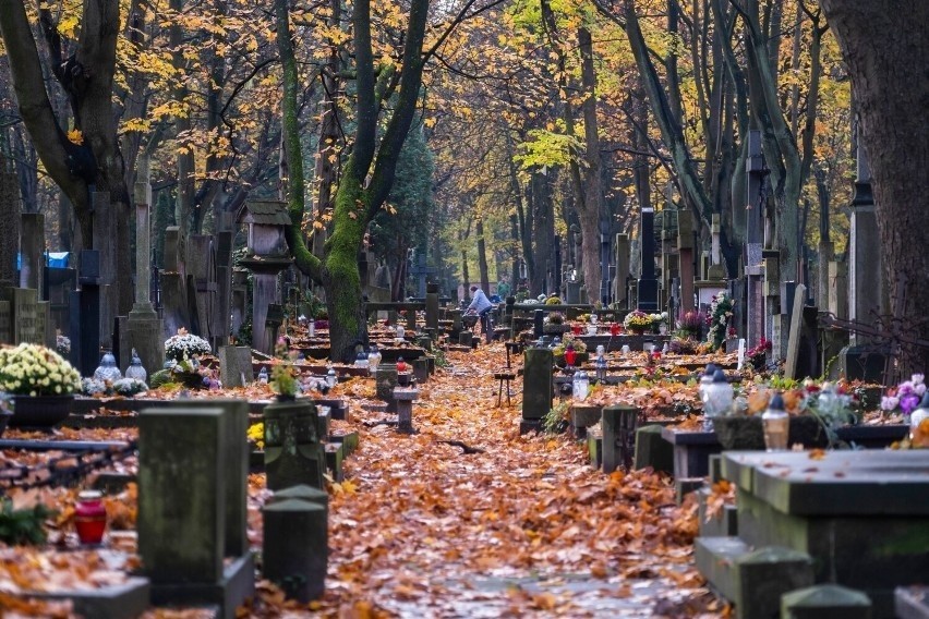 W której dzielnicy Warszawy umiera najwięcej osób na tysiąc...