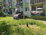 Wypadek w Knurowie. Pijana 65-latka wjechała w blok przy ulicy Szpitalnej. Kierująca miała 1 promil alkoholu w wydychanym powietrzu