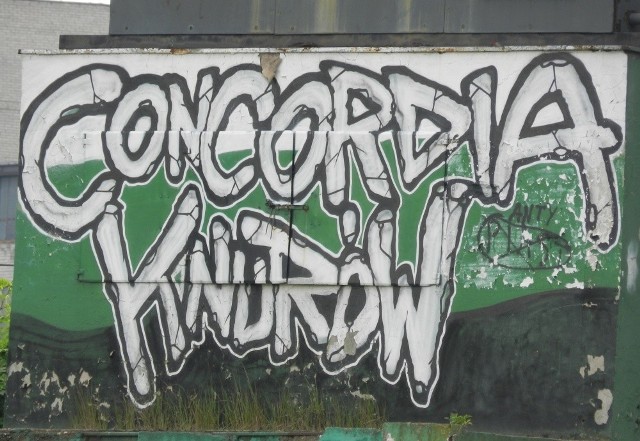 Ciekawostki z niższych lig: Concordia Knurów - Pilica Koniecpol 4:0