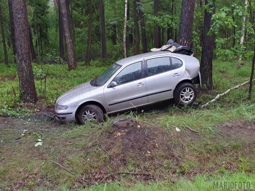 Seat owinął się na drzewie. Wypadek na drodze krajowej 45 w Jasieniu w powiecie kluczborskim