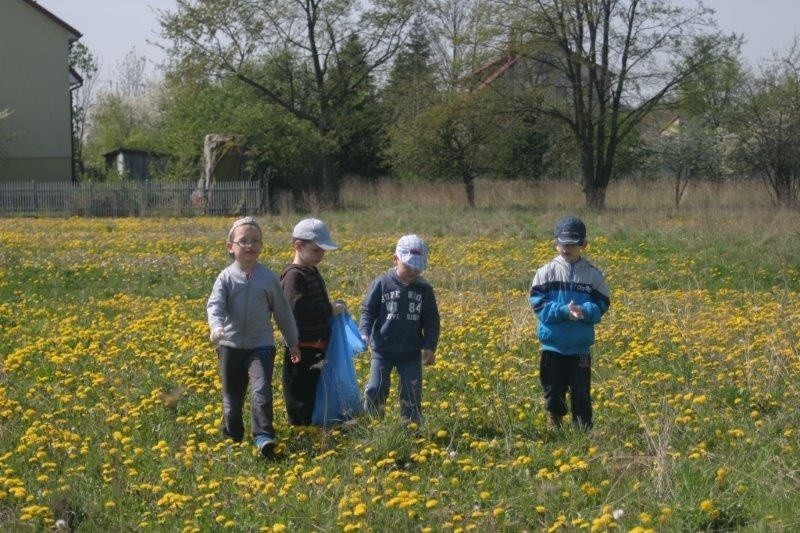 Dzień Ziemi "Chatka Puchatka"