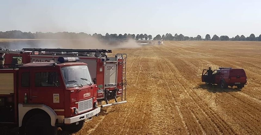 Pożar między Stargardem i Gogolewem. Ogień w lesie i na polu 