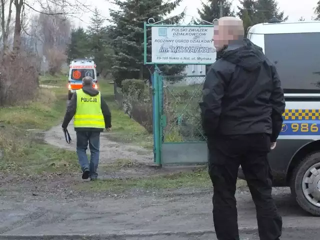 Na terenie ogródków działkowych w Nakle znaleziono zwłoki kobiety.