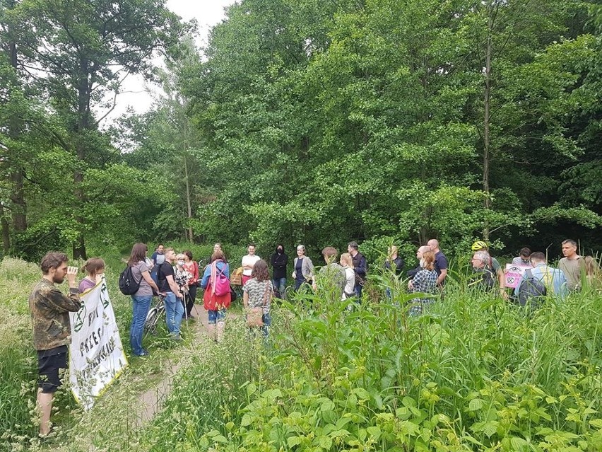 Będzie nowy projekt parku Krzyckiego we Wrocławiu