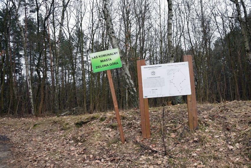 Takiej atrakcji w Zielonej Górze jeszcze nie było! W lesie...