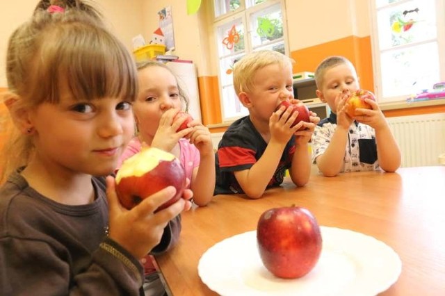 Polacy mali i duzi jedzą rocznie 15 kg jabłek. Wystarczy zjeść 4,5 kilograma więcej, by rosyjski bojkot polskich owoców był nieodczuwalny dla naszych plantatorów.