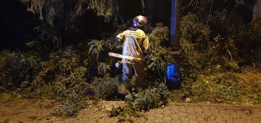 Halny na Podhalu. Trwa wielkie sprzątanie szkód