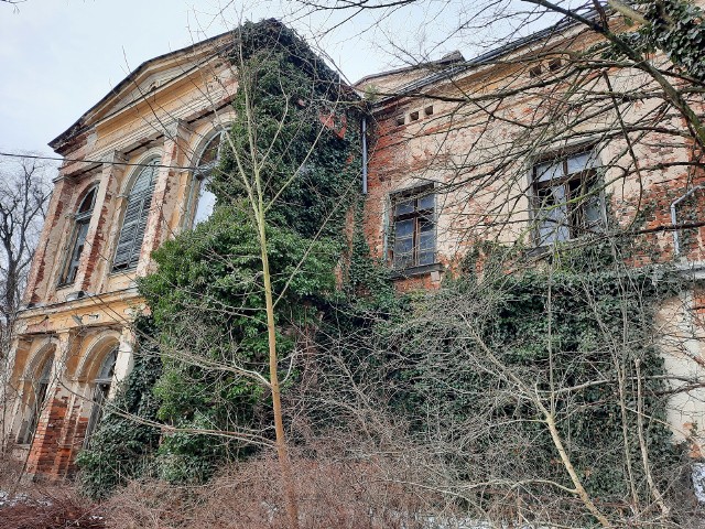 W zaniedbanym parku, obrośnięty pnączem, wygląda tajemniczo i romantycznie