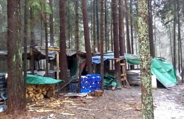 I po bimbrowni! 275 litrów alkoholu w ręce celników (zdjęcia)